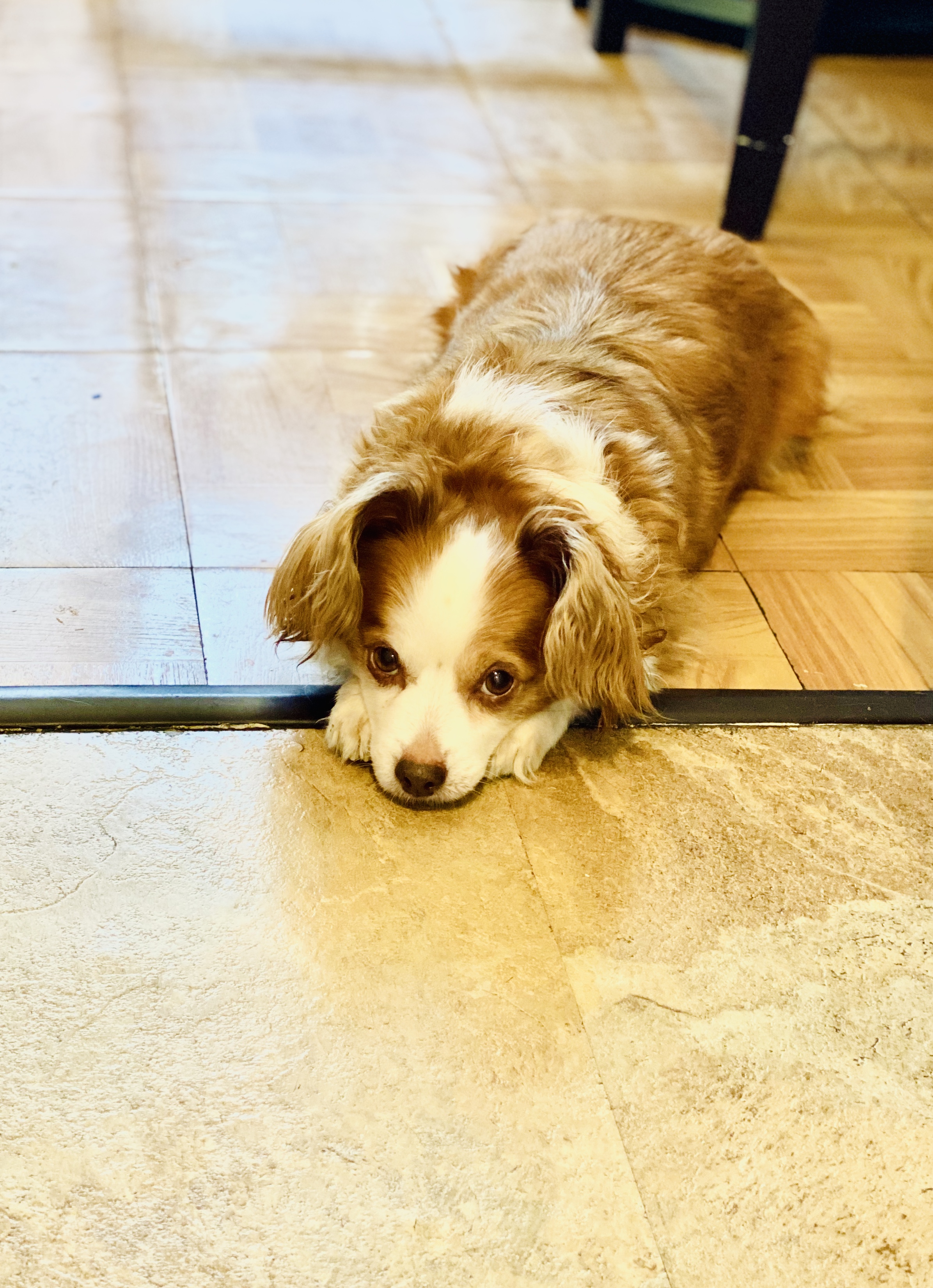 32A211A5-569E-4188-A658-57A2749B4BDB