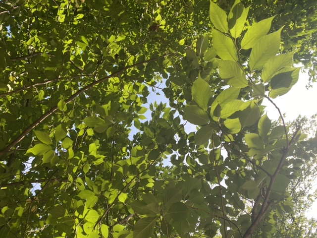 3016EADC-6793-417F-A3E2-A7811FE5E014