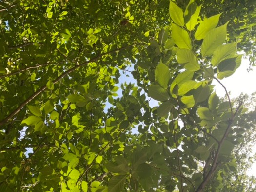 3016EADC-6793-417F-A3E2-A7811FE5E014